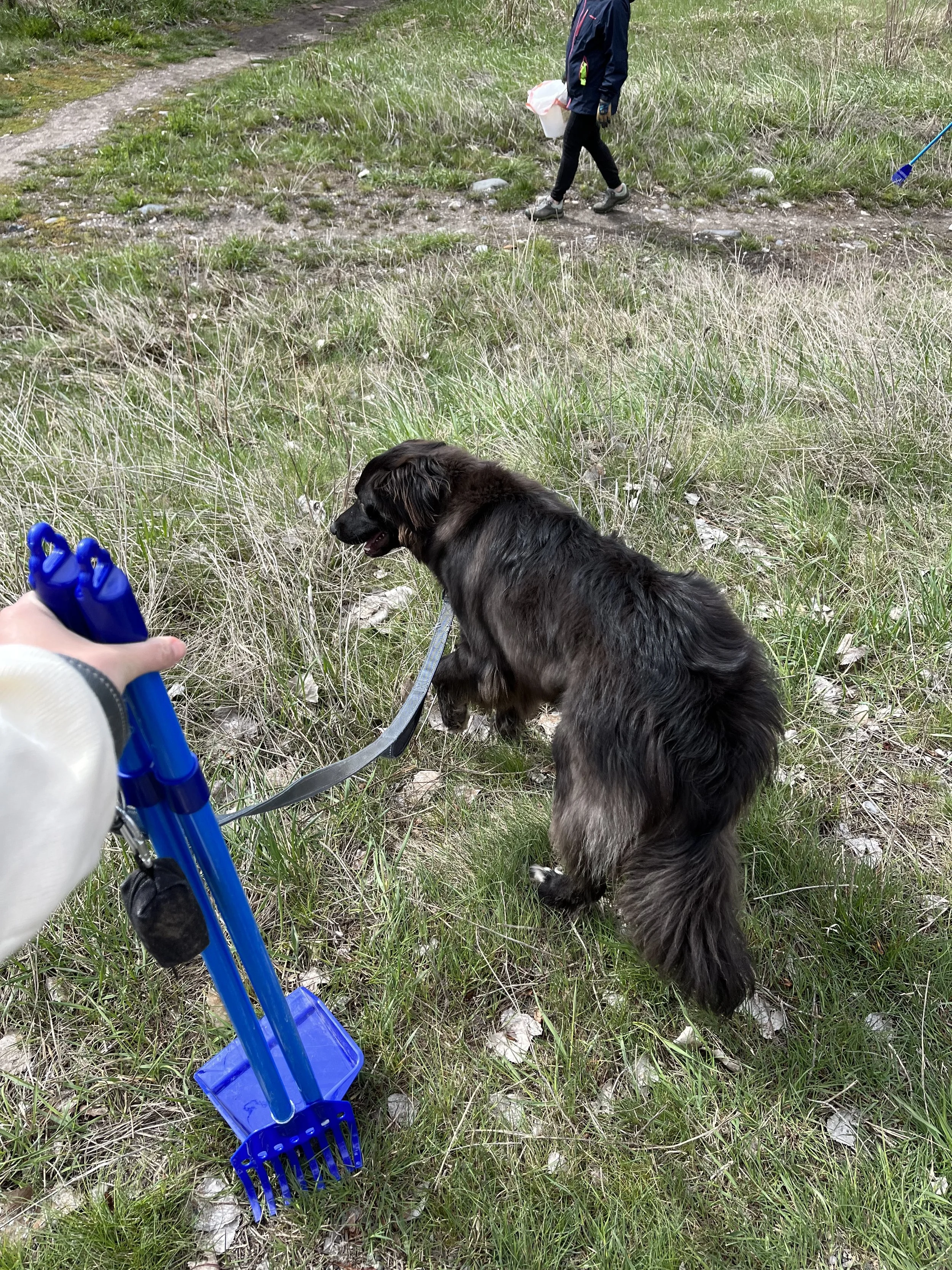2022DogPoop7.JPG