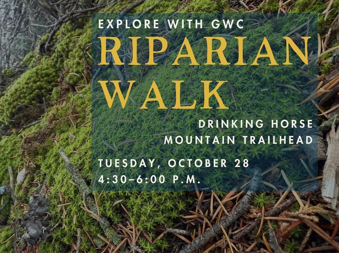 Walk with us at Drinking Horse!

Join GWC on Tuesday, October 28, from 4:30 to 6:00 p.m. for our next monthly Riparian Walk! As the leaves change and nights grow longer, we'll explore how the plant and animal members of our riparian communities begin
