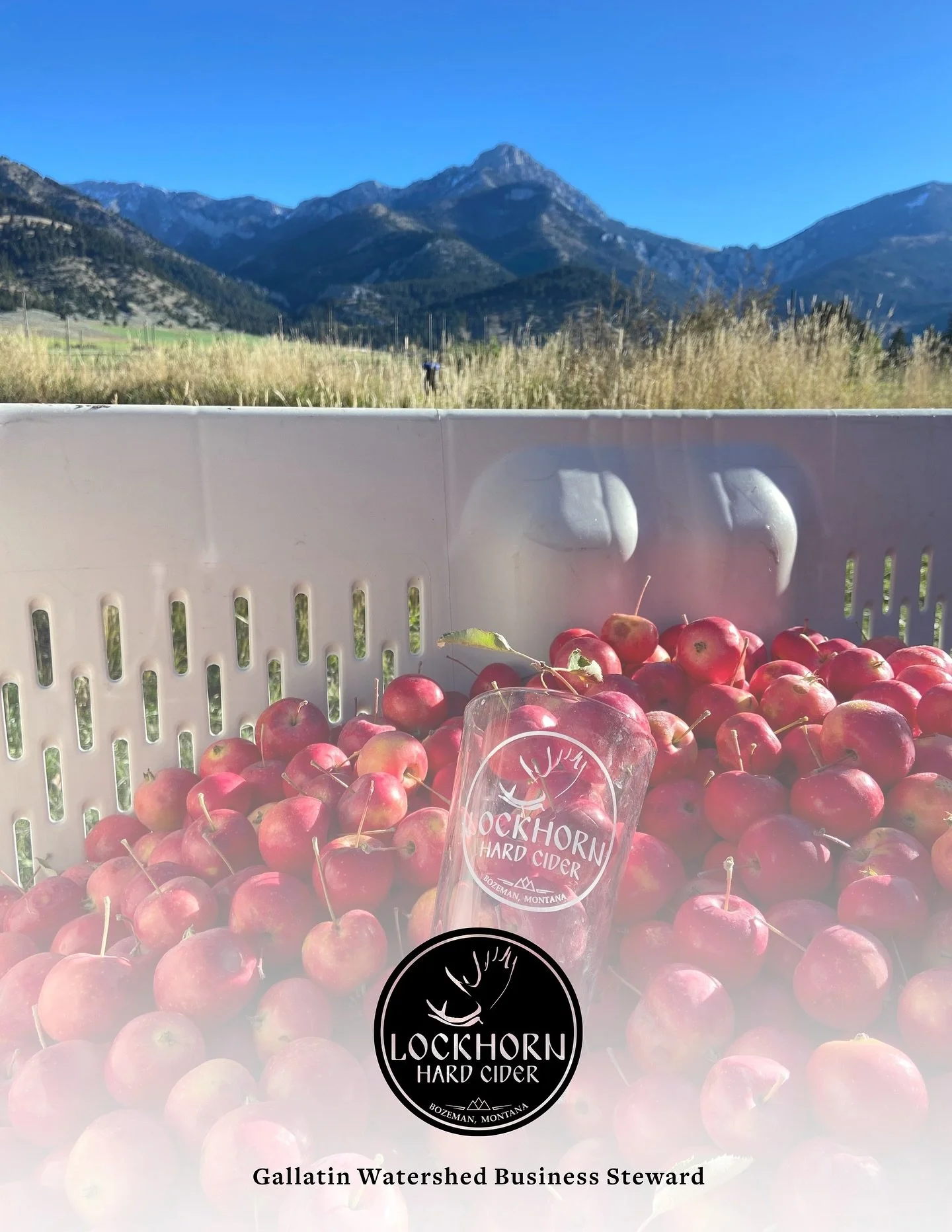 What does it take to be a core member of the community? 

Just ask Lockhorn Cider, October&rsquo;s featured Watershed Steward! A Gallatin Watershed Business Steward, Lockhorn Cider prioritizes using local ingredients and engaging the community to giv
