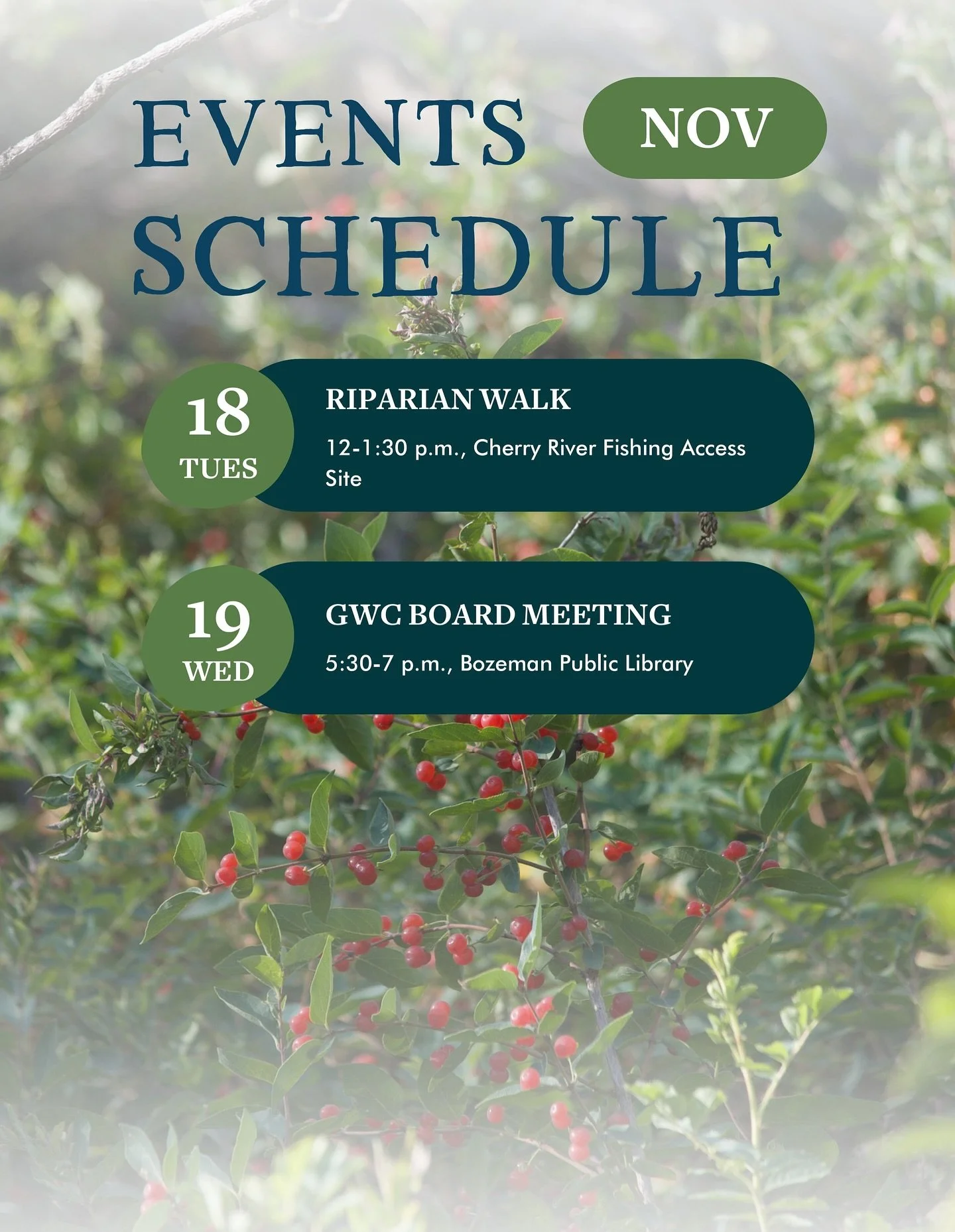 Happy November!

Our volunteer season has come to a close for the year, but there is still a chance to get outside with GWC. Join us for a Riparian Walk at Cherry River Fishing Access Site on November 18 to enjoy the peace of fall and first inklings 