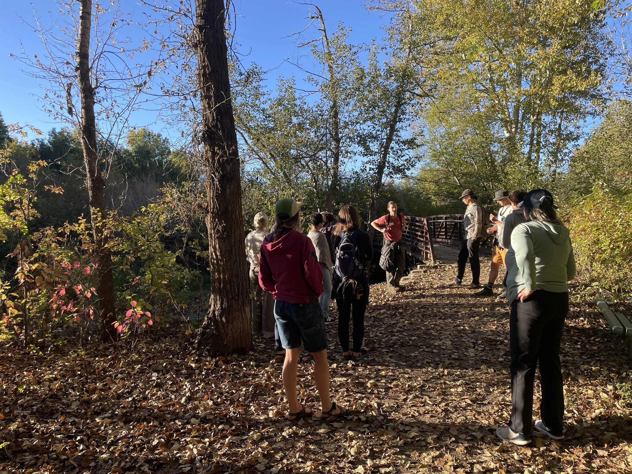 Riparian Walks: Meandering Together