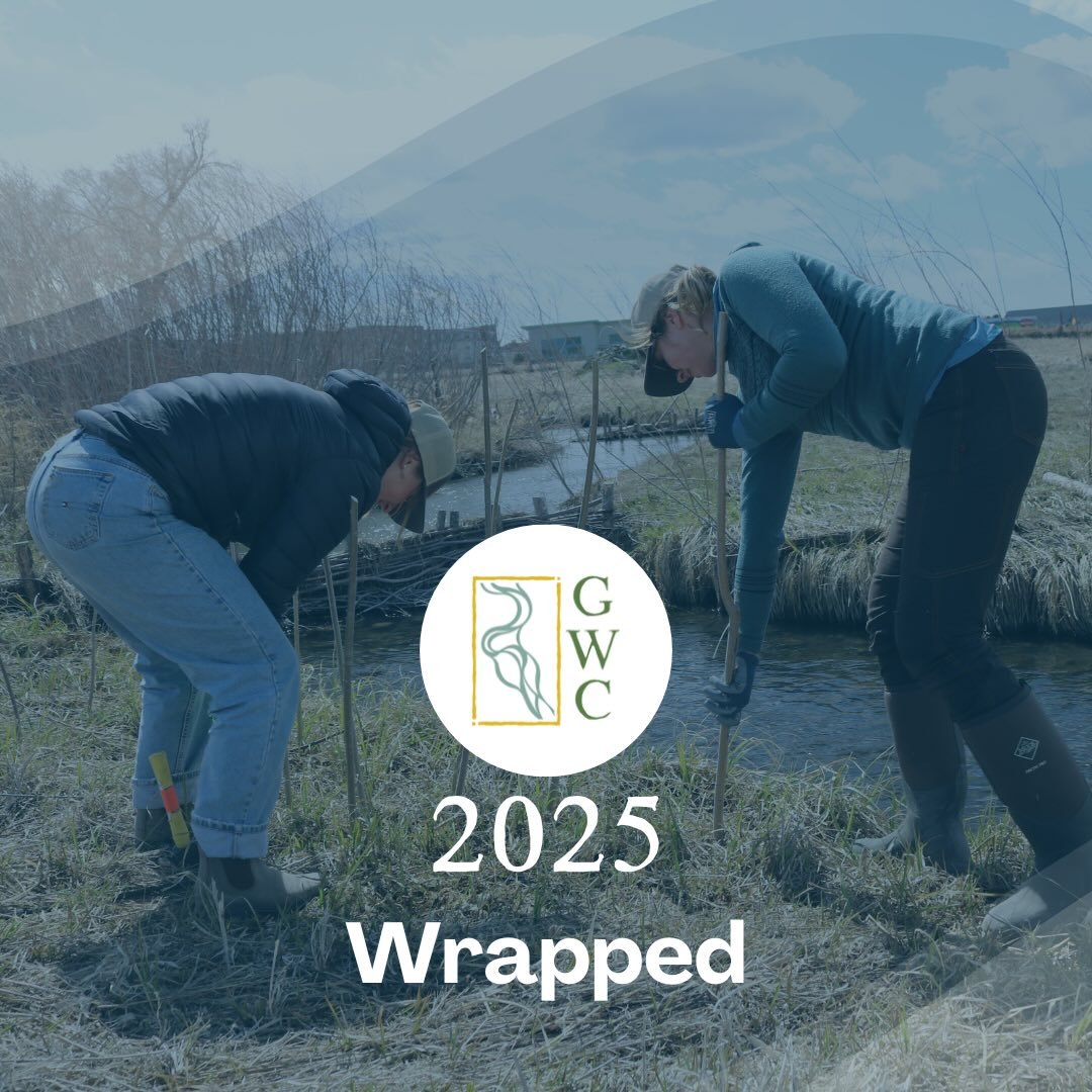 2025 was a great year for our watershed because of you! Scroll through our GWC Wrapped to see the impact we made together.

If you had fun with us in the field this year or supported us from afar, please consider a year-end donation. A year-end gift 