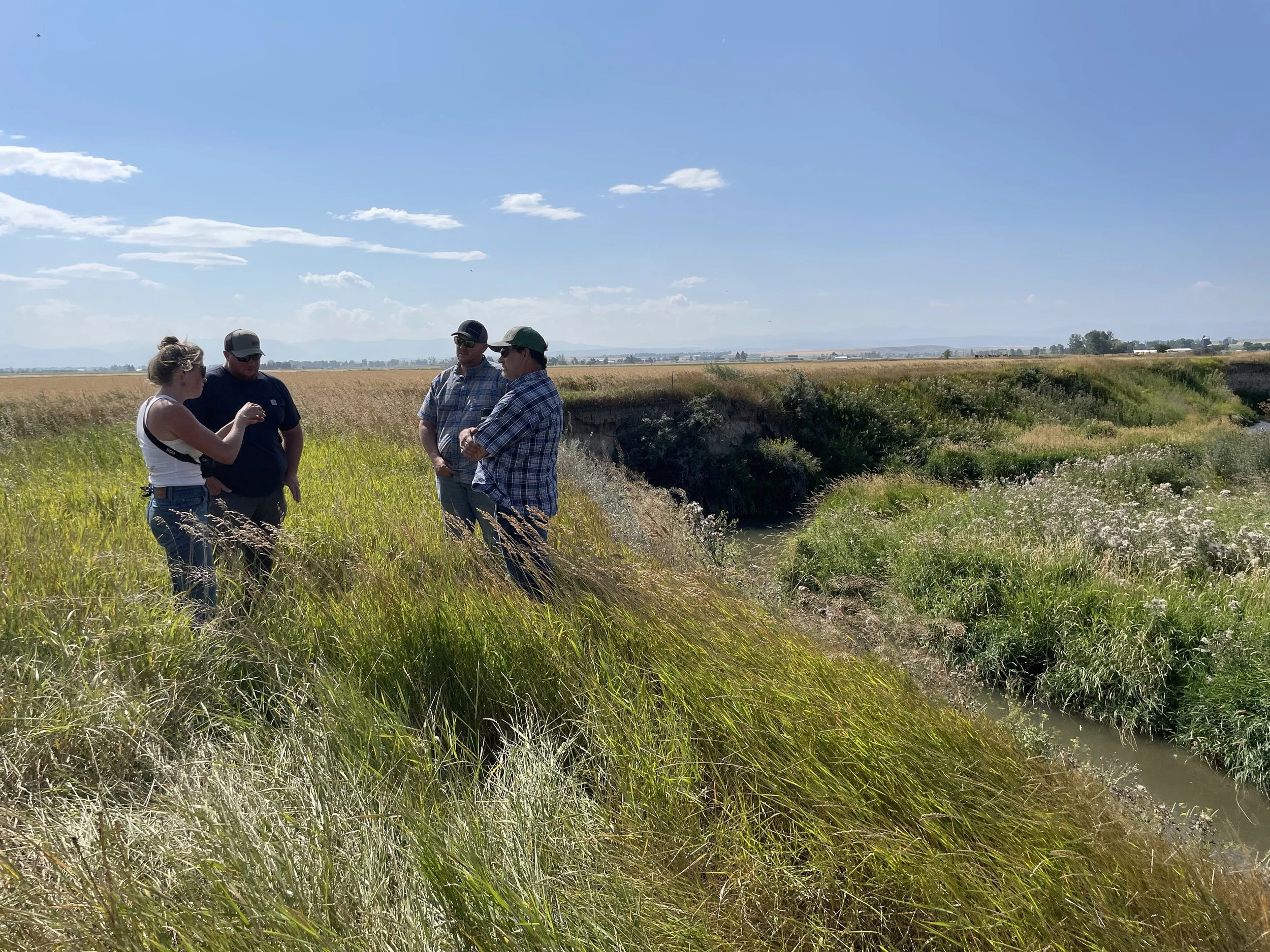 Introducing Spring Creek Farms