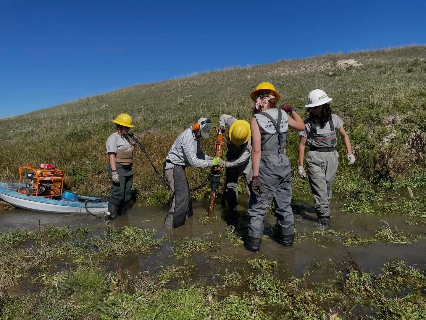 Spring Creek Farms Project Series: 2025 Recap and What&rsquo;s to Come!

Last spring and fall, many hardworking volunteers and a @montanaconservationcorps field crew got their hands dirty at Spring Creek Farms. We planted 

160 quaking aspens and cho