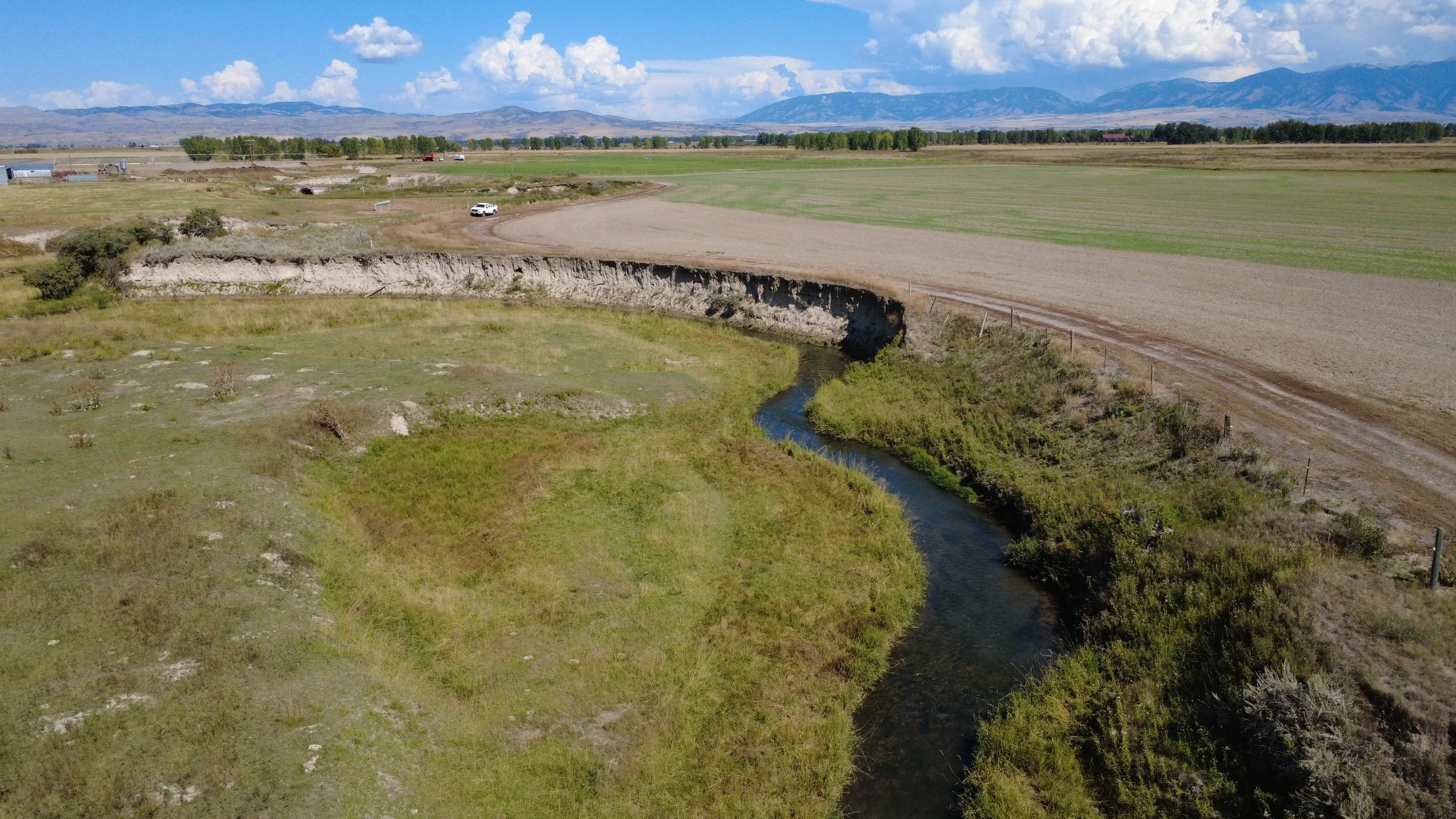 Spring Creek Farms Today