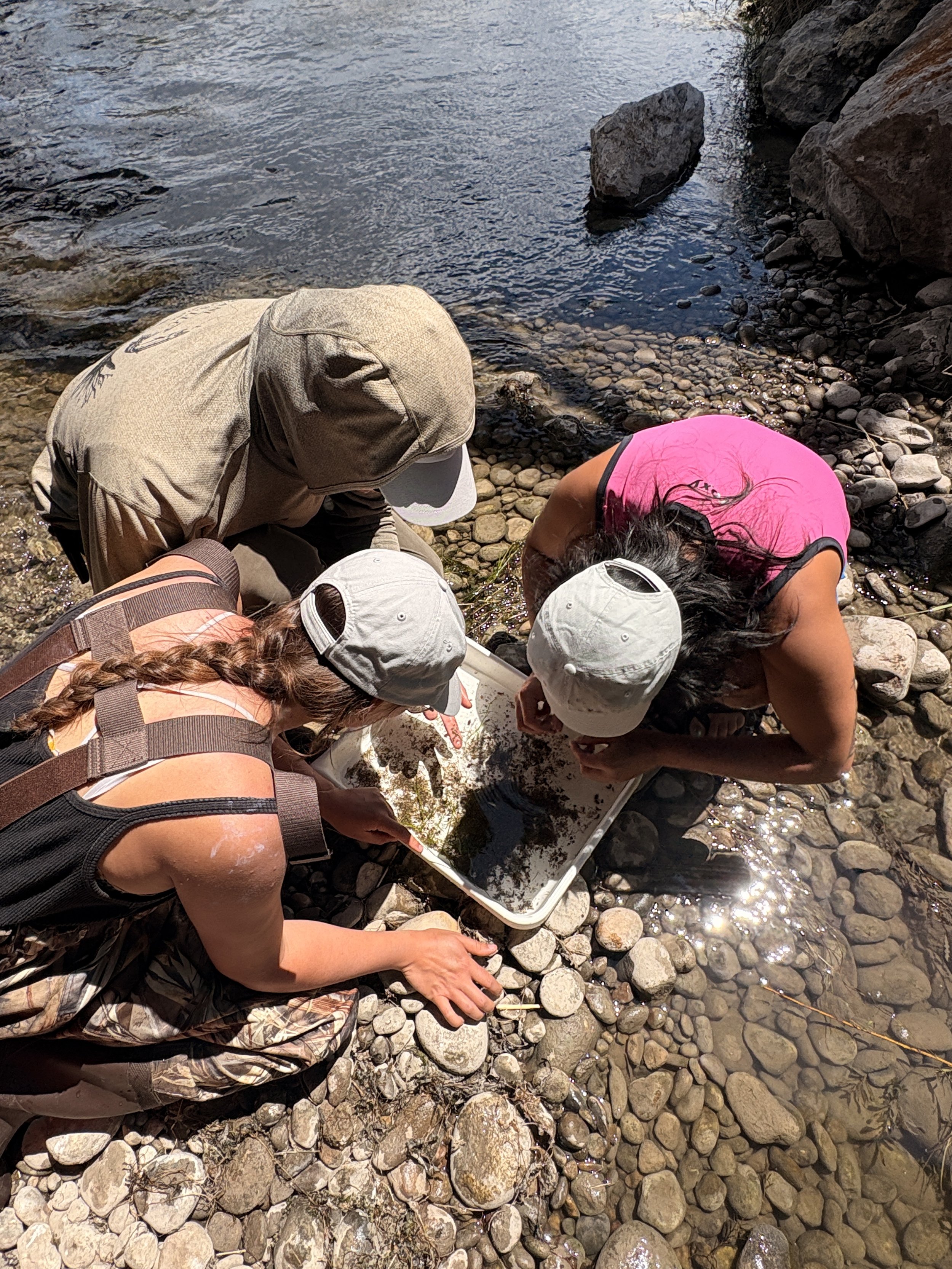 Wade With Us: A Season of Water Science Begins