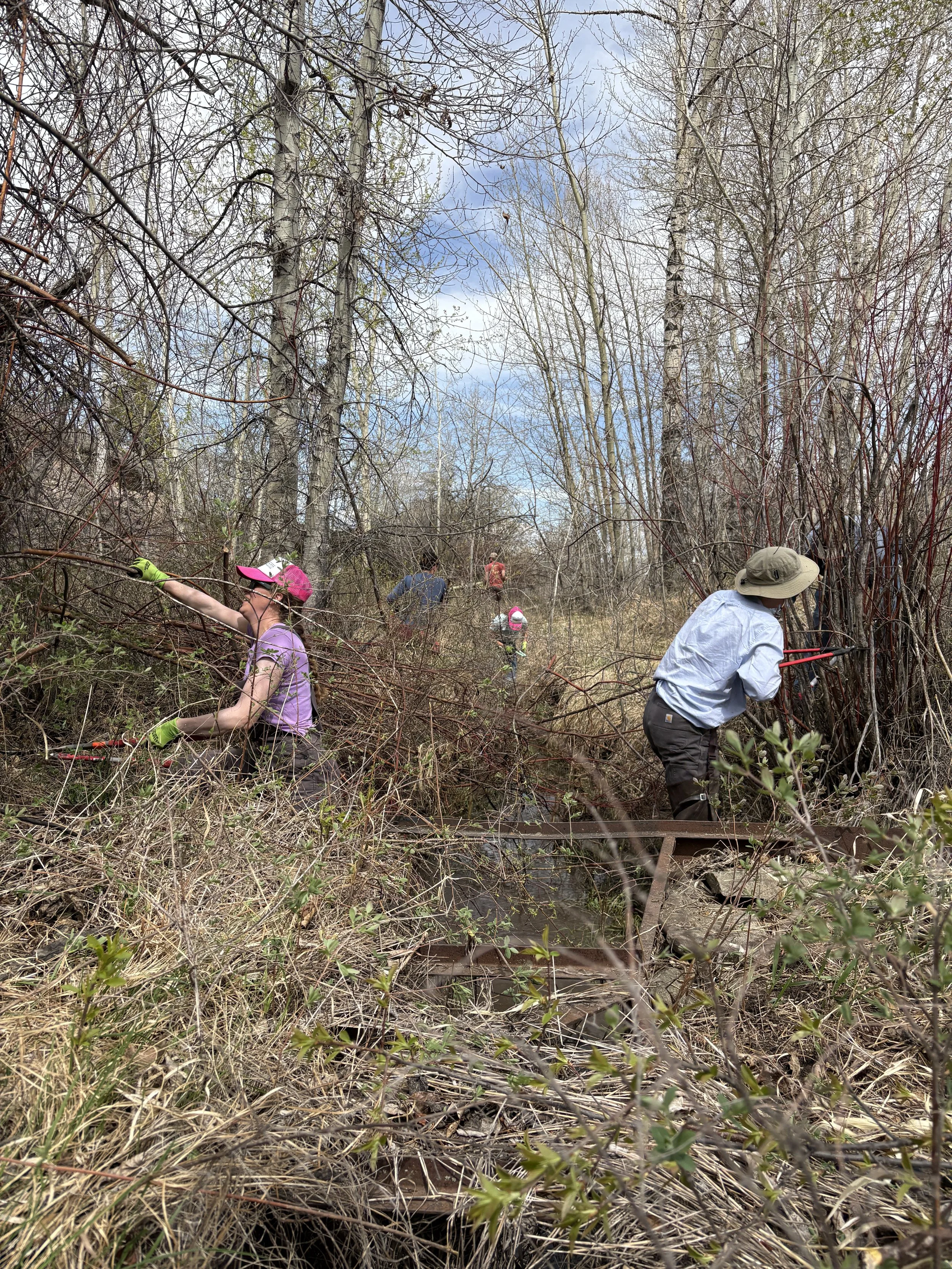 Ditches Are Our Neighbors Too