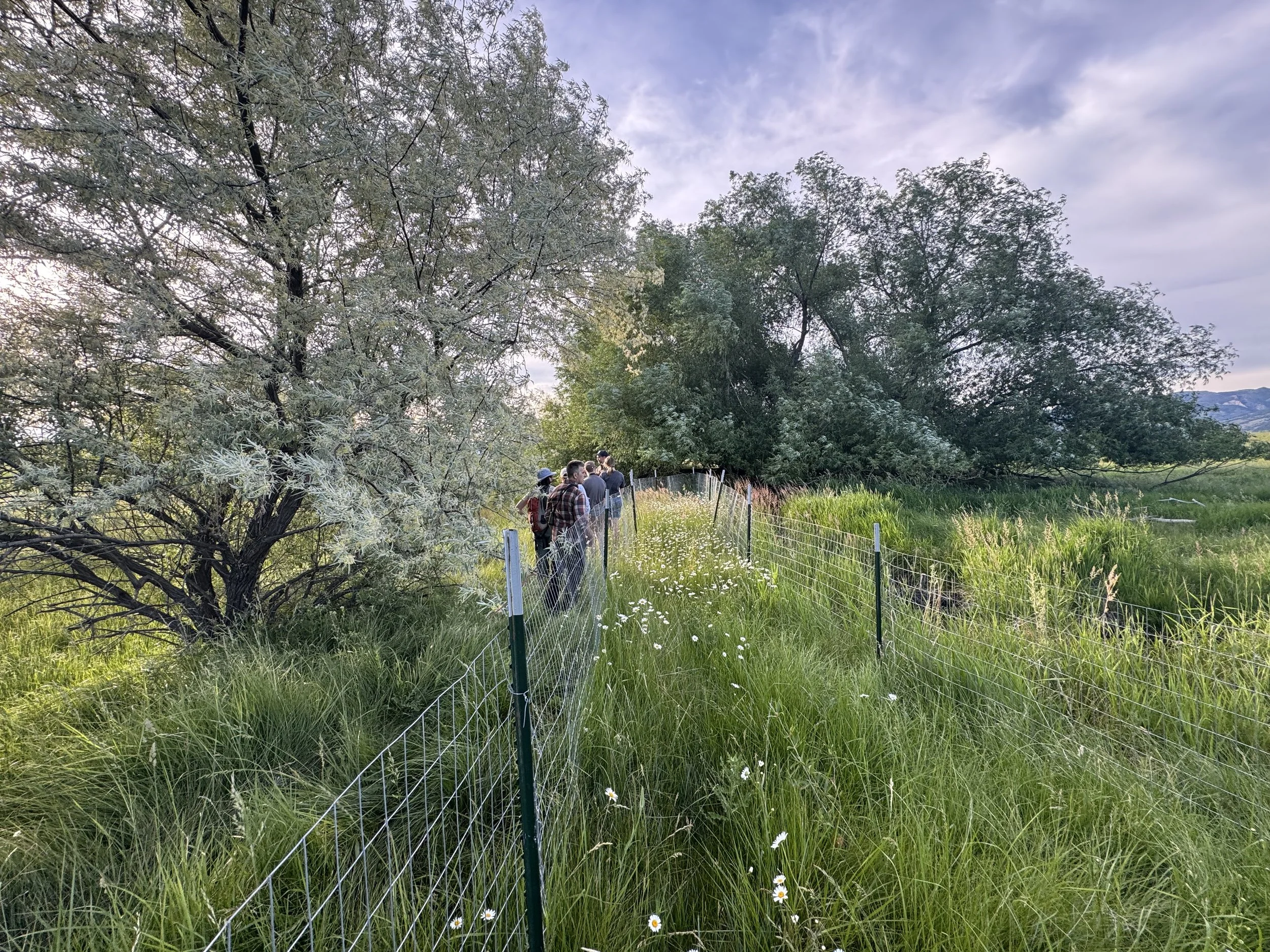 New Partnerships on Our Riparian Walks