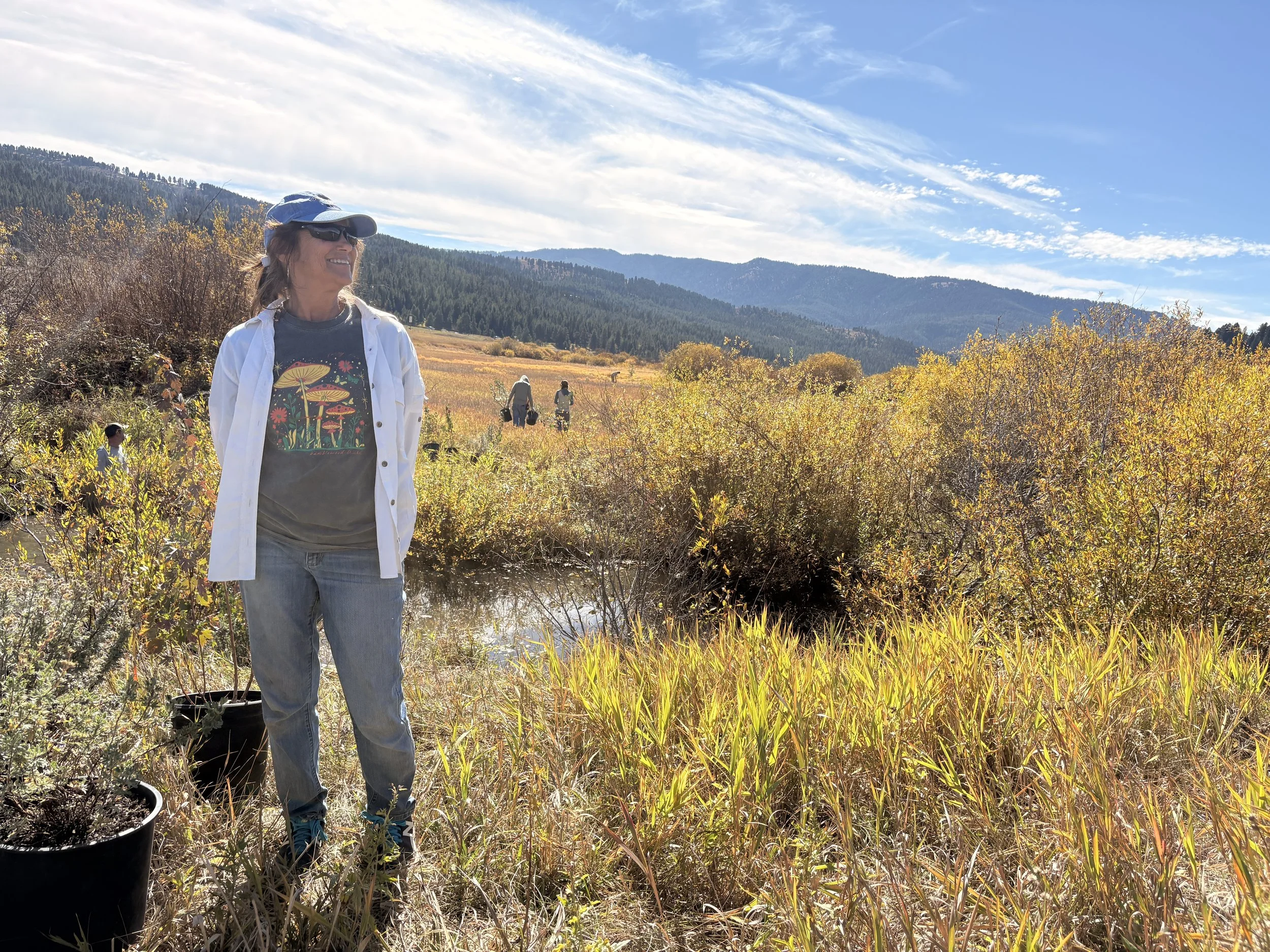 A Season of Restoration Ends: Volunteers &amp; Landowners Tell Us About Working on Rocky Creek&nbsp;