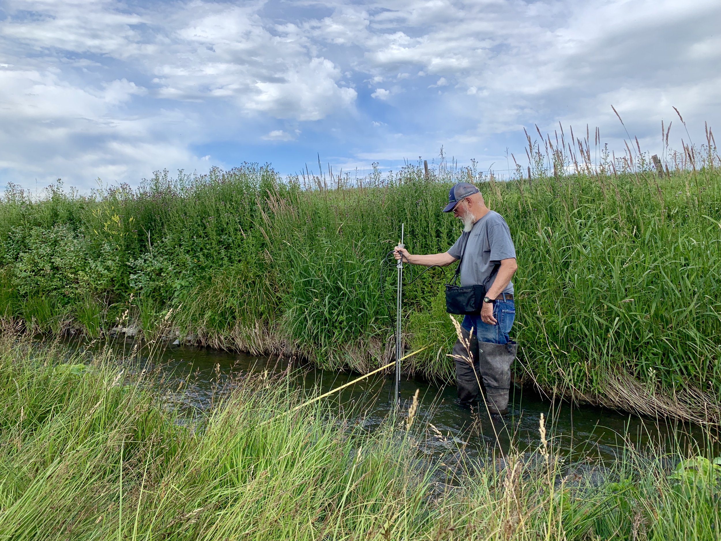 Copy of Mandeville1.JPG