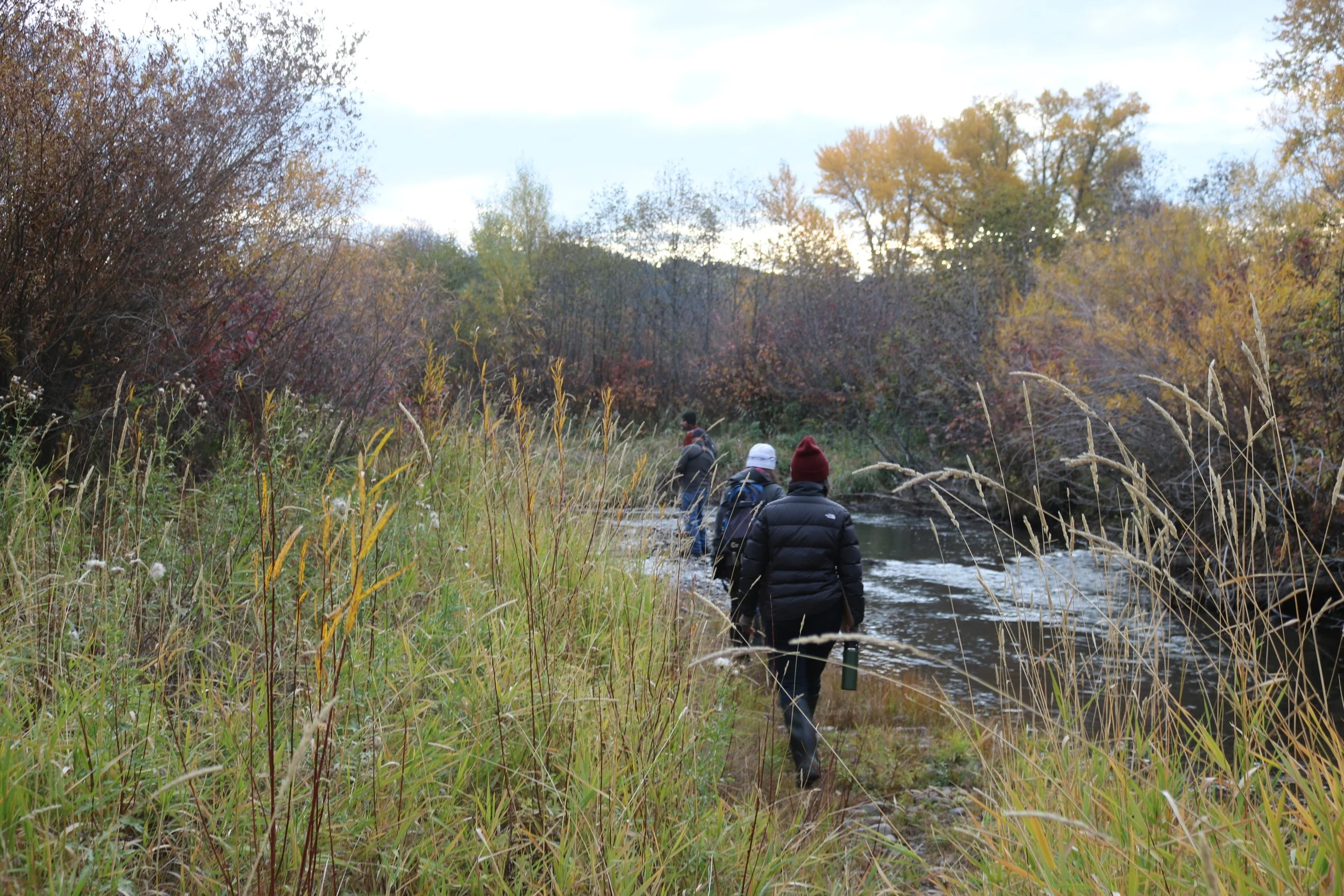 Upper EG with river.JPG