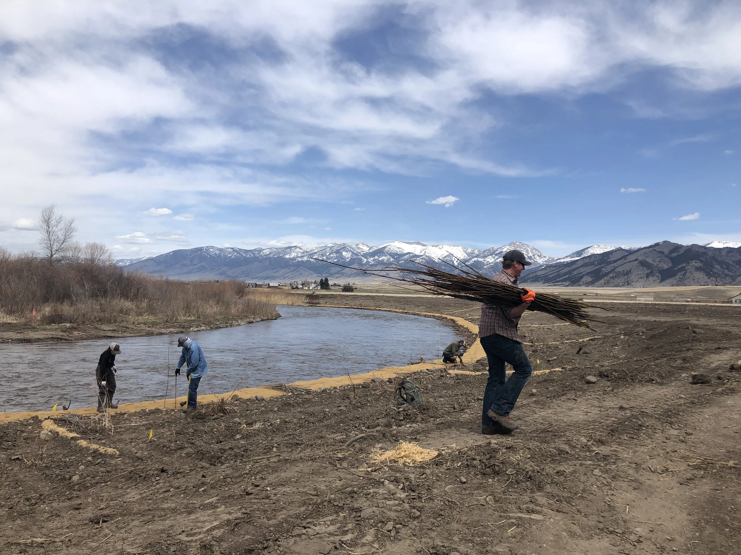 Copy of IMG_5019 (1).JPG