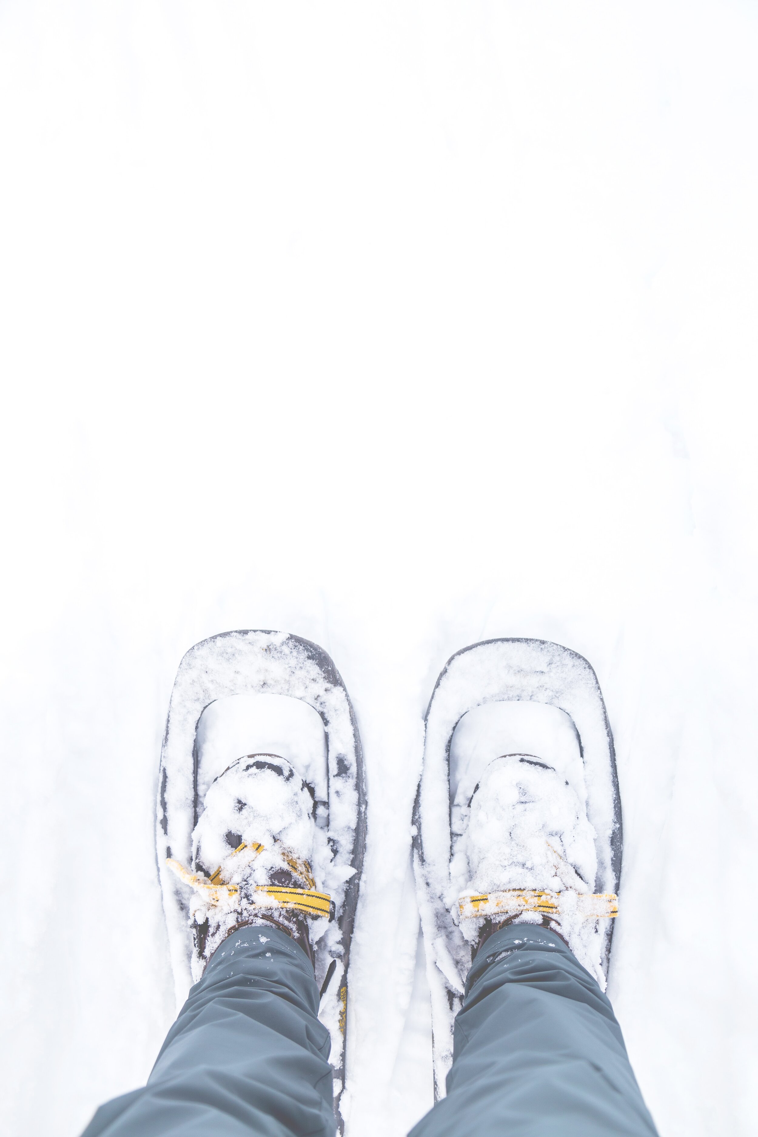 Snow shoes