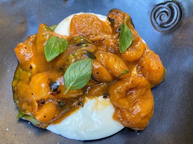 Burrata with grilled Blenheim apricots from Bera Ranch. ❤️ So decadent and simple. 
#summervibes #grilled #apricots