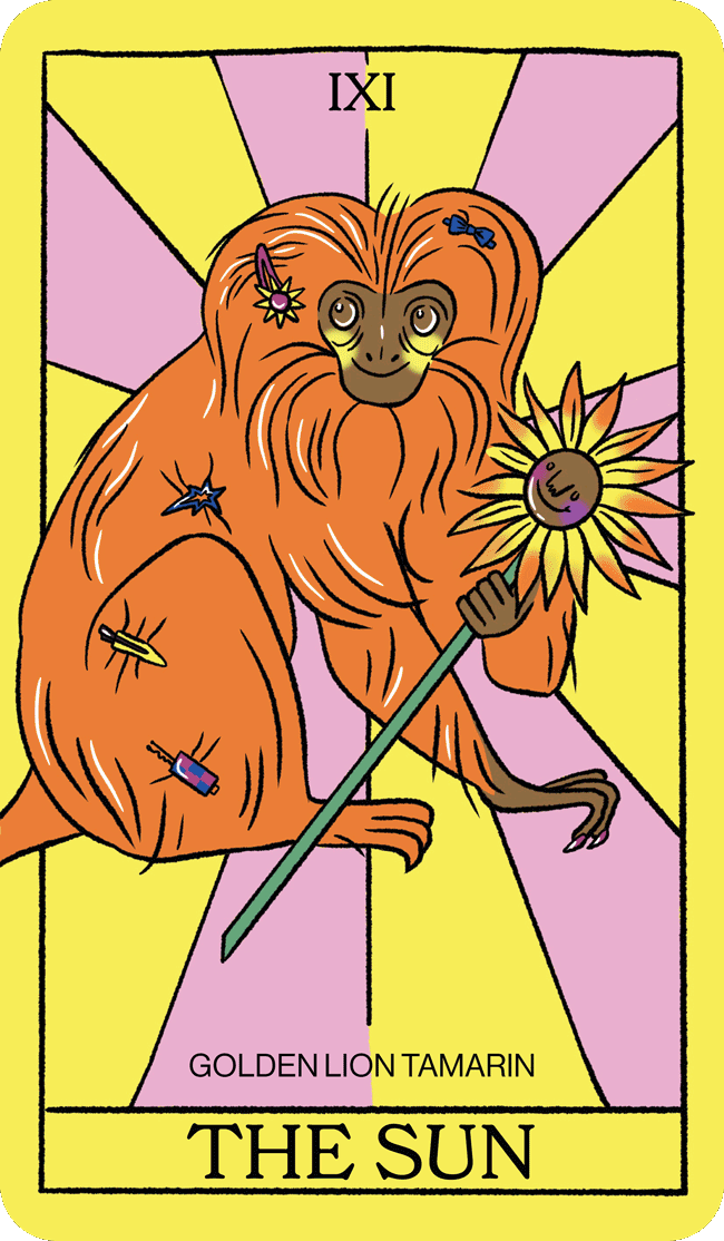 2025_OnTheEdge_TarotCards_MadisonNewey.gif