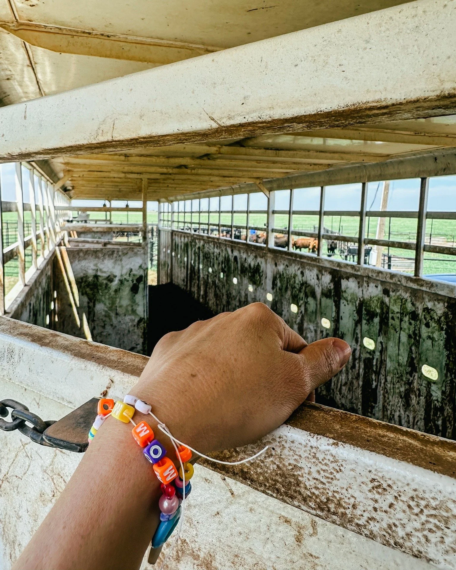 Checked for babies, got the gates, and ready to talk protein and fiber by noon. Farm &amp; ranch life blending beautifully with real RURAL nutrition advice &mdash; that's the Dirt Road Dietitian brand. 

Work with a dietitian who gets the rural life: