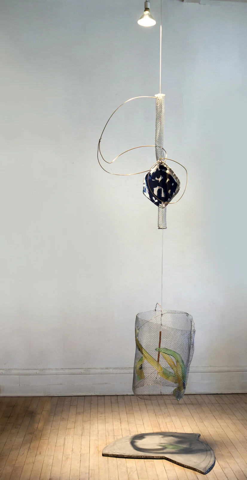“Evolution”, 2006