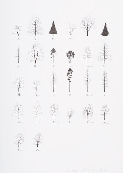  Katie Holten / Tree Alphabet, 2015, Ink on paper, 28.5 x 22 in 