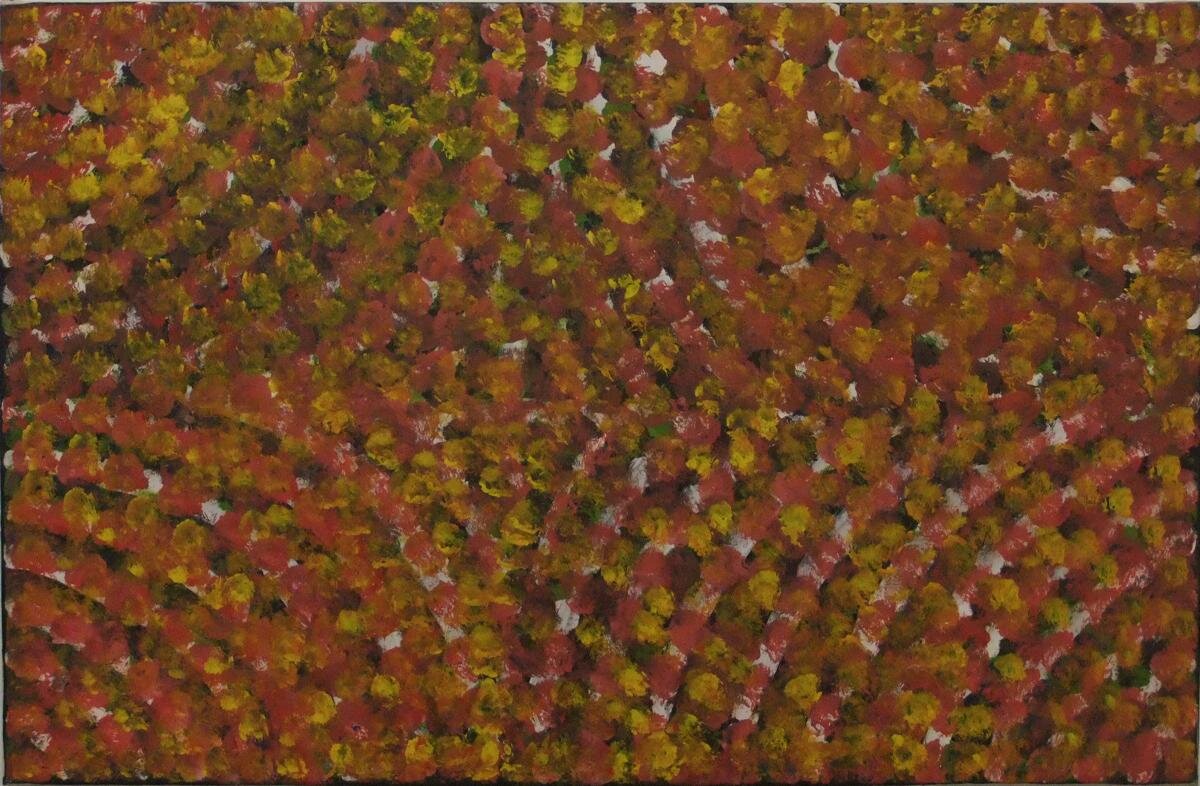  Emily Kame Kngwarreye -  Wildflower Dreaming  (1994), acrylic on canvas, 49,5 x 32,25 in. - Courtesy of Robert Steele Gallery, New York 