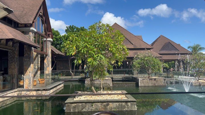 No filters needed! If I don&rsquo;t reply&hellip; this is why!  But, I will catch up as soon as I can. Honeymoonin in paradise 🥥🌴🐚🇲🇺 #honeymoon #honeymoonin #paradise #mauritius #thewestinturtlebay #beautiful #beautifulisland #beautifulpeople