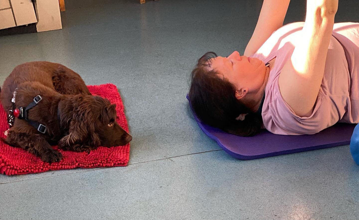 Rocco the hearing dog joined us for a lovely class this morning. 💕