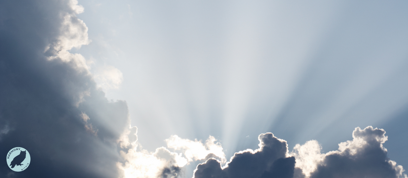 Harmony POP UP BANNER (1600 x 700 px) (1).png