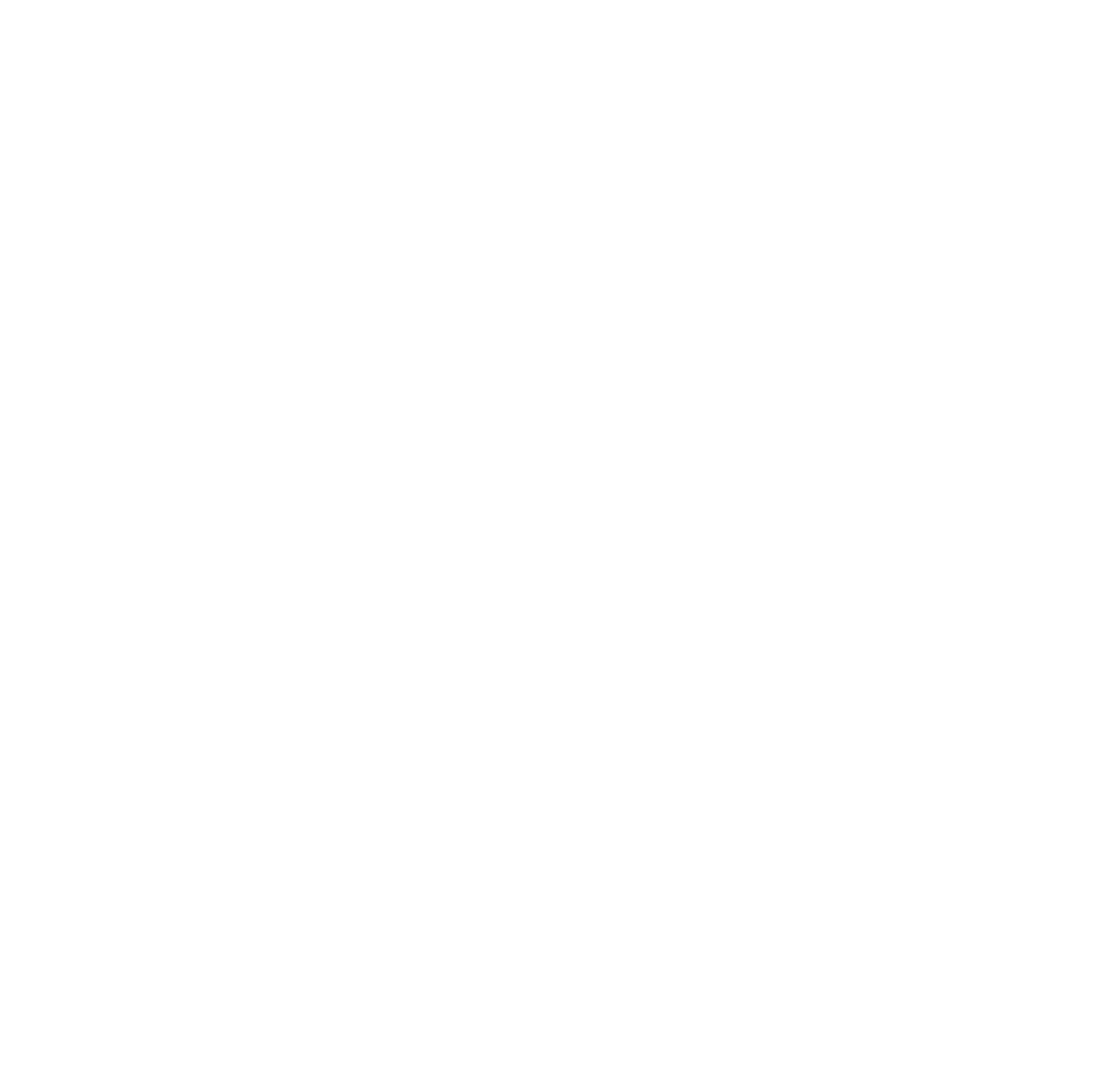 The Focus Program