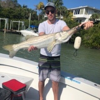 Fishing is heating up! We lost count on #snook #redfish #jackcrevalle then caught a pair of nice #sheepshead for dinner!