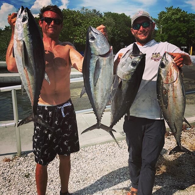 What an epic day fishing with @capt_coop_239 just offshore of #sanibel Only fished for 2 hours and caught our limit of giant #blackfin #tuna and #redsnapper plus over a dozen #mahimahi to fill the cooler! There was some GIANT sharks circling the boat