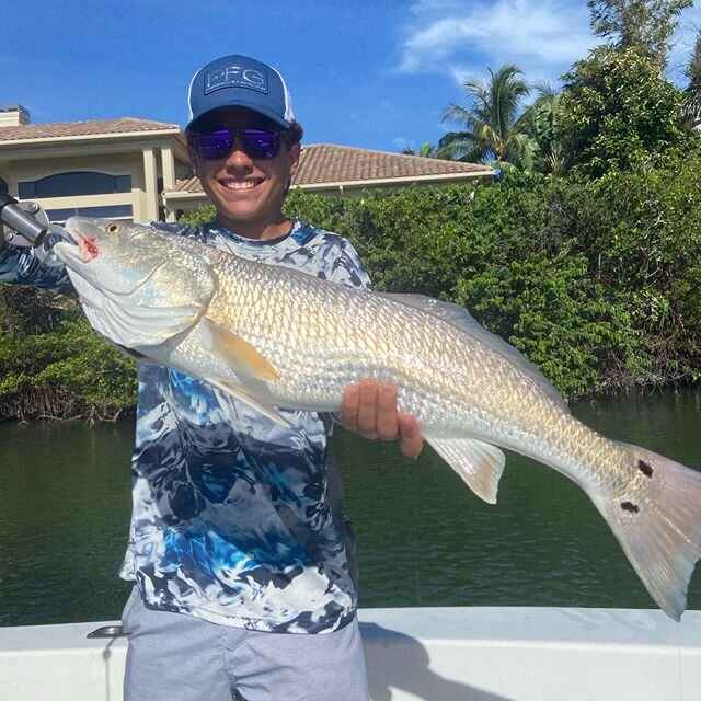 The redfish showed up for us this morning! Caught those two big guys and about a half dozen medium ones.