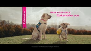 Eukanuba - The_Graduate