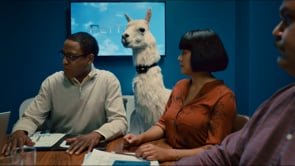 Amazon Business "Pet-Tech"