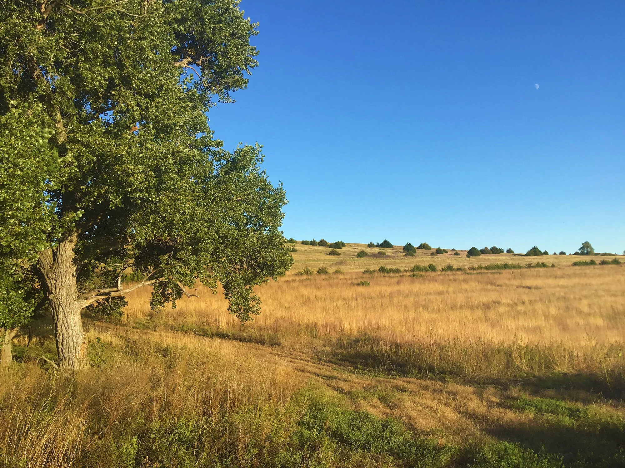 Contact-header-resized.jpg