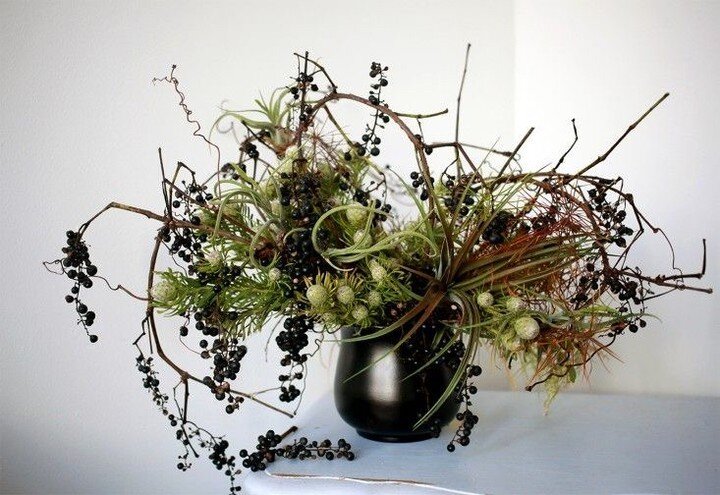 Happy Tuesday inspo  #designer #design #belleameagency #interiordesignagency #designinspiration #residentialdesign #femaleownedbusiness #belleameinteriors #femaleowned #decorate #homedesignideas #instainteriors #interiordesignrenovation #dreamhomes #