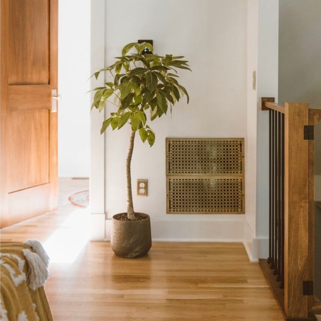 Just a plant and a decorative brass grill. No big deal. Just having a moment .  #designer #design #belleameagency #interiordesignagency #designinspiration #residentialdesign #femaleownedbusiness #belleameinteriors #femaleowned #decorate #homedesignid