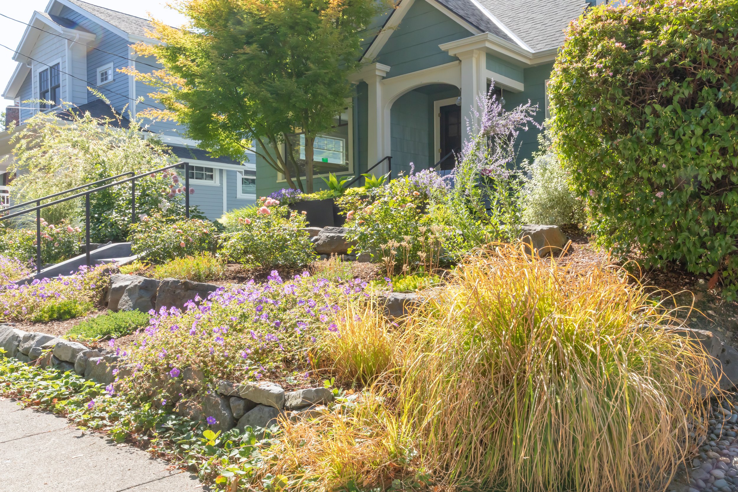 Karen_Web-21.jpg