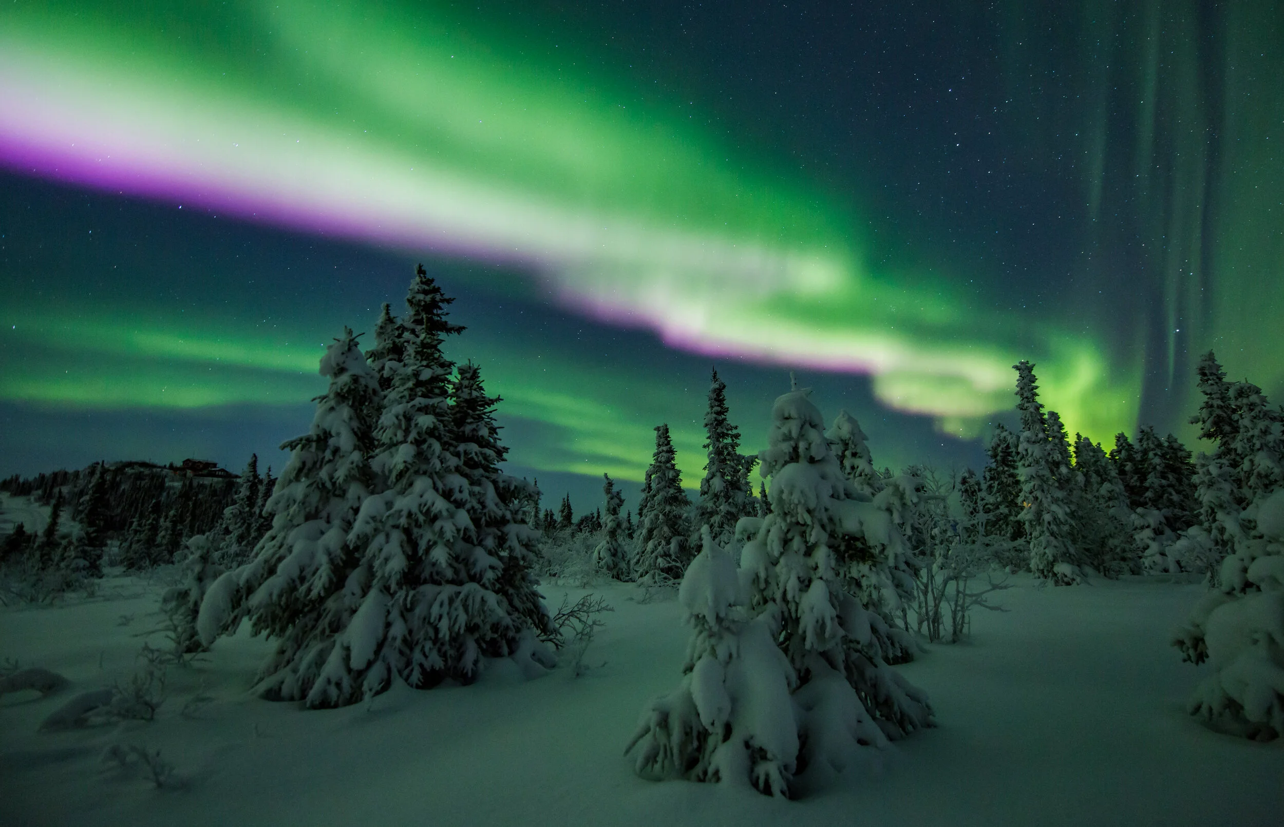 Северное сияние норвегия 8k. Аляска северное сияние. Северное сияние на колыме. Северно ледовитый океан северное сияние. Арктическая аляска.