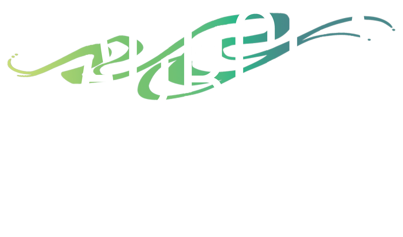 The Aurora Chasers