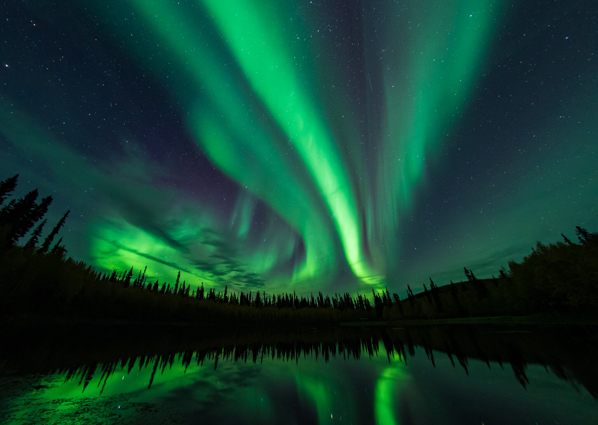 Fairbanks Alaska Northern Lights Forecast Shelly Lighting