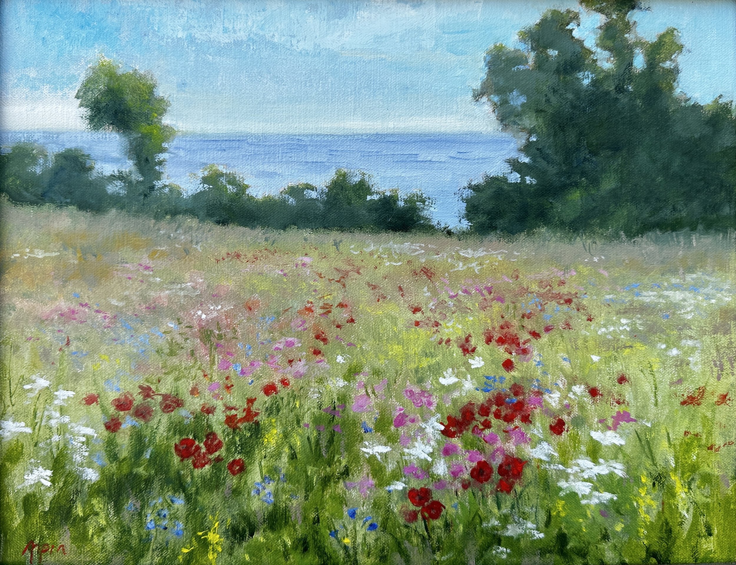 Pollinator Field