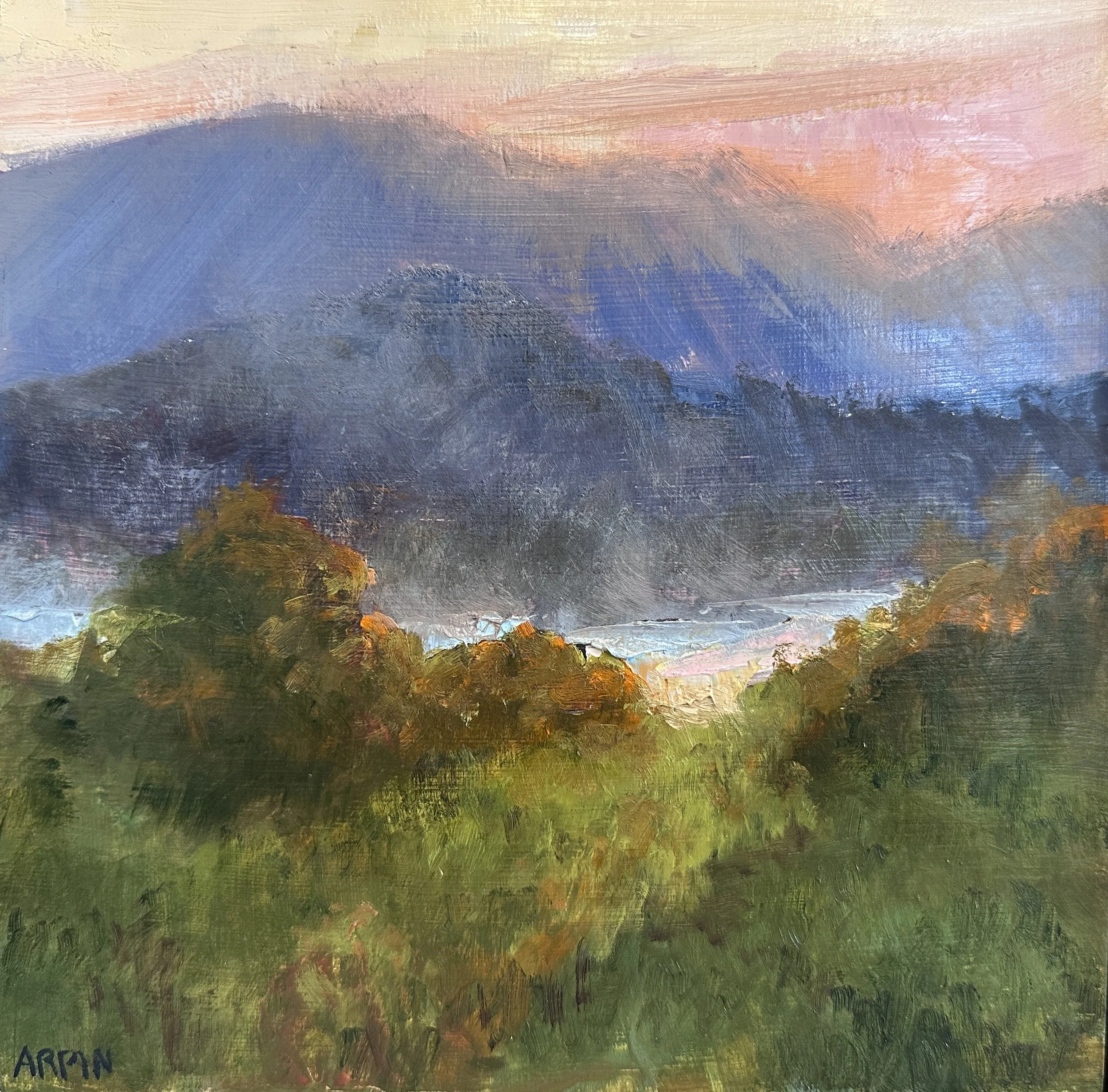Early Rising Mist