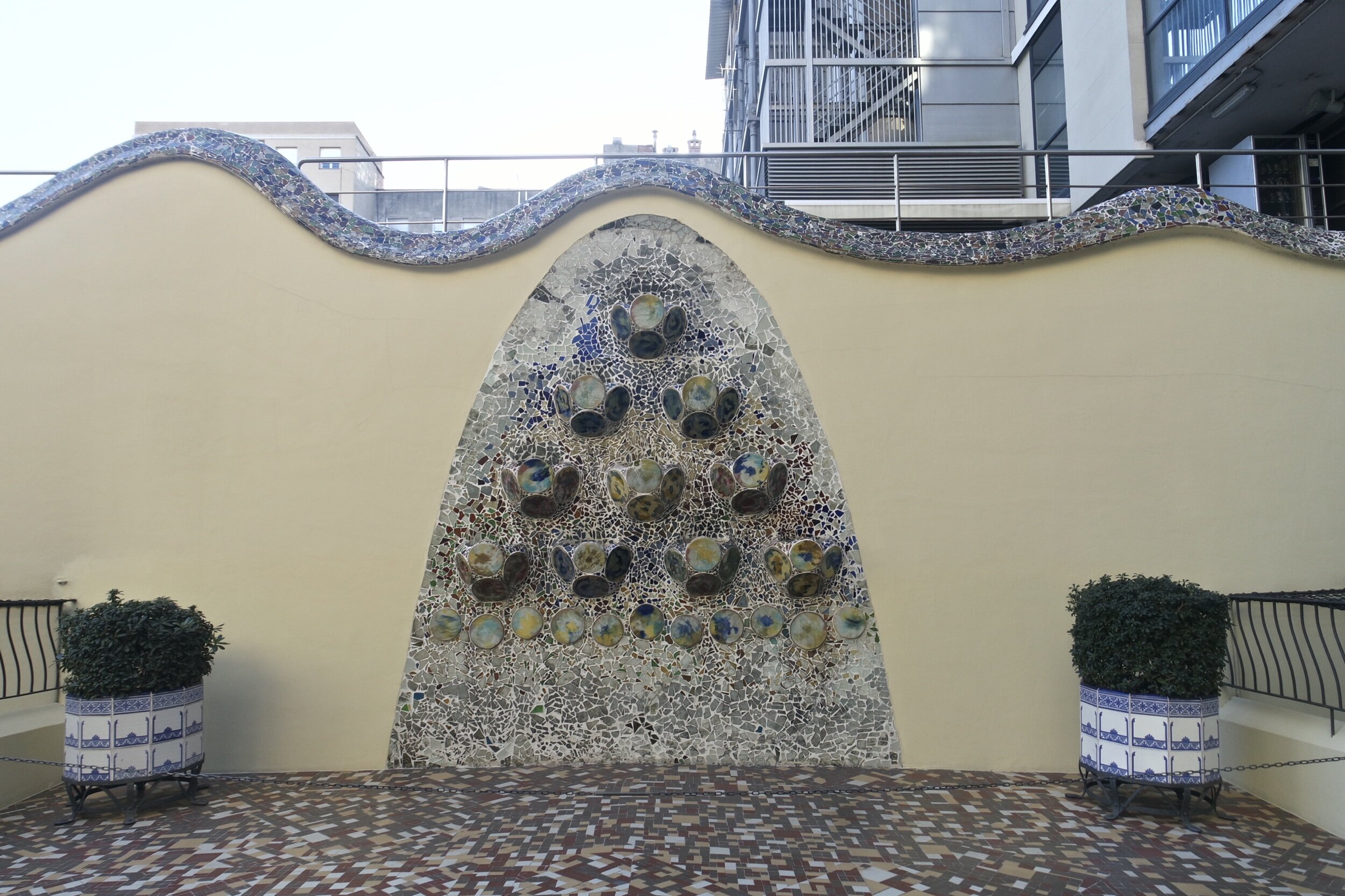 IMG_0486.jpeg