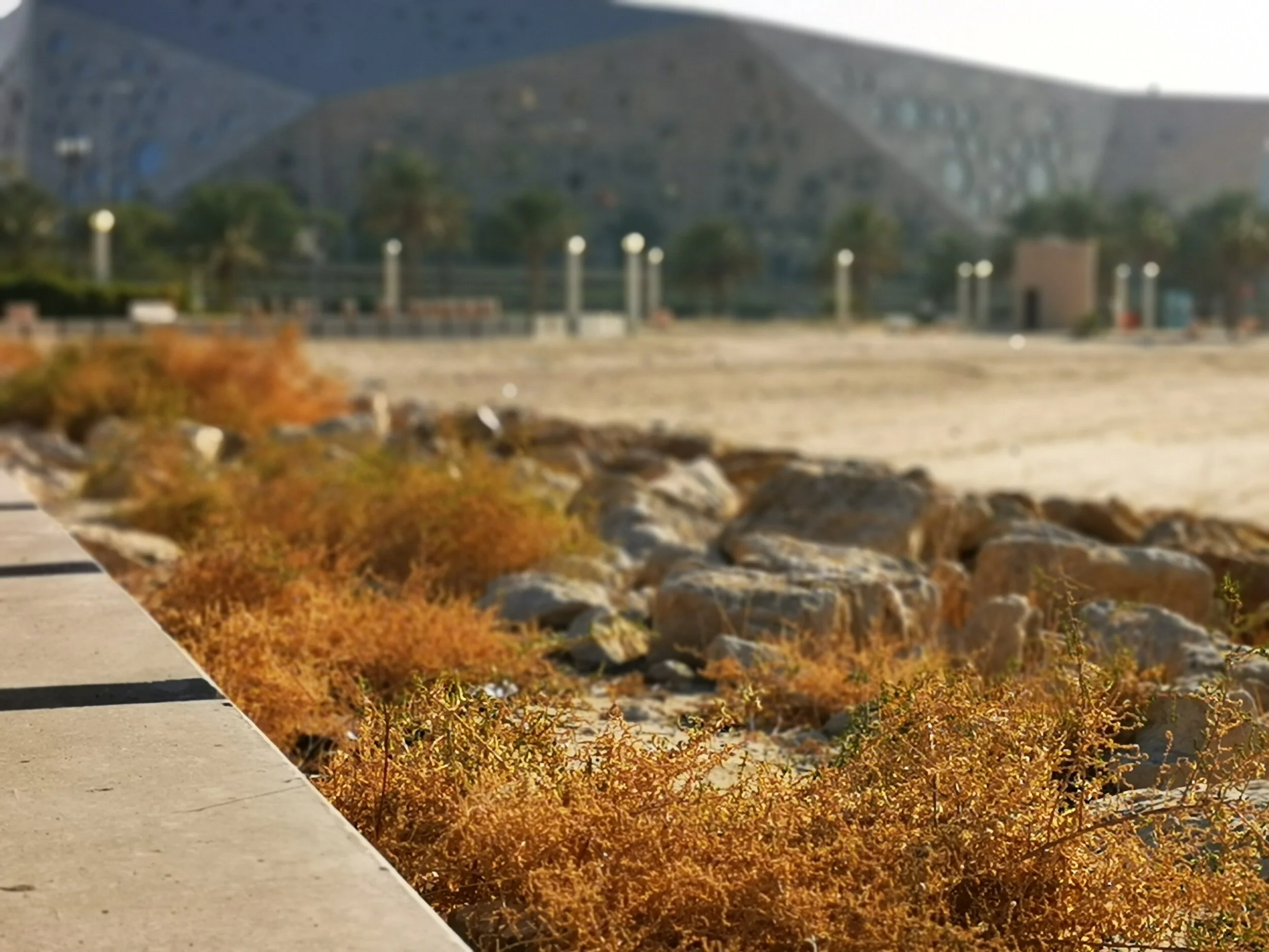 IMG_20191224_143817 1.jpeg