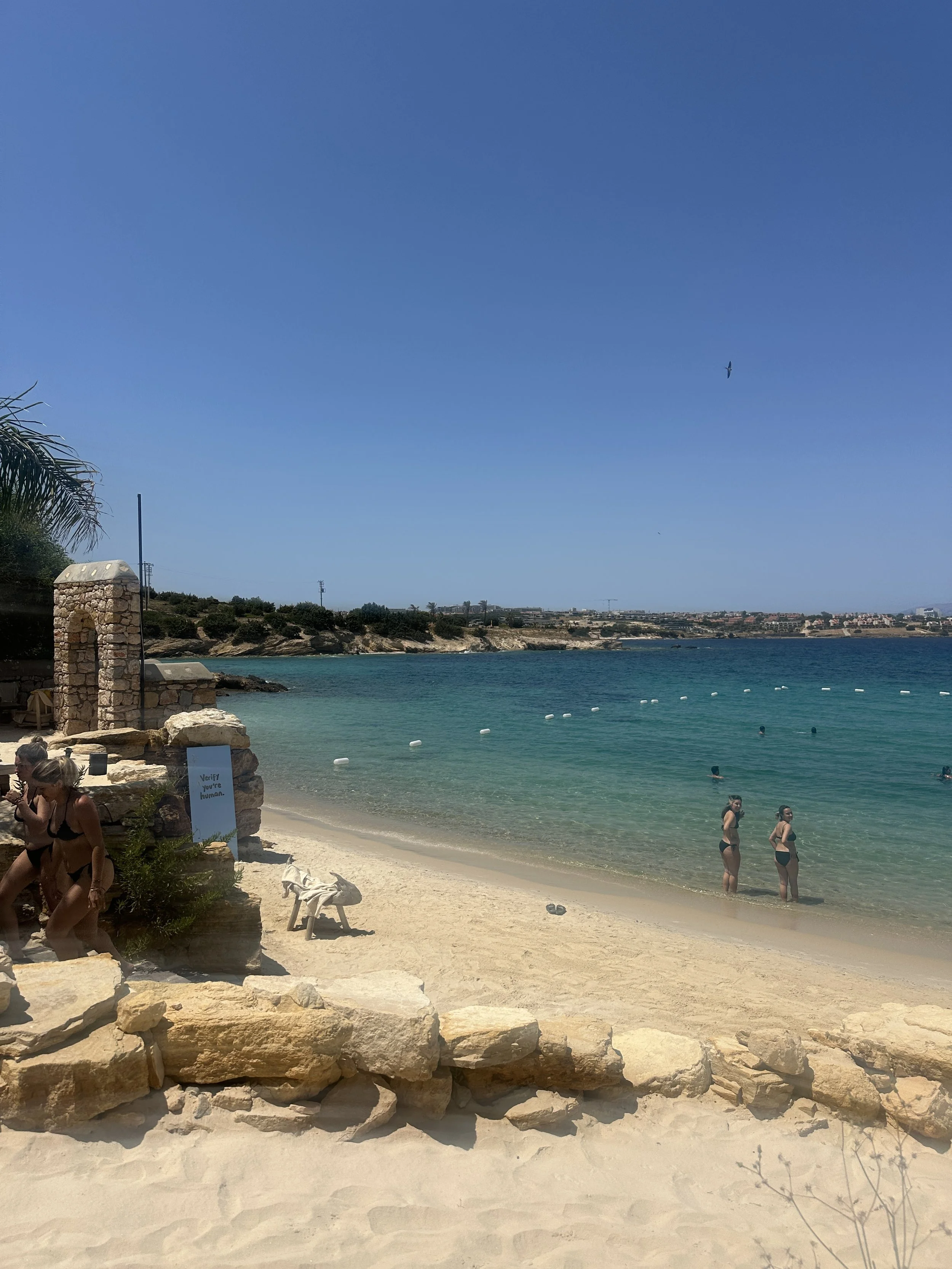 IMG_8060.jpeg