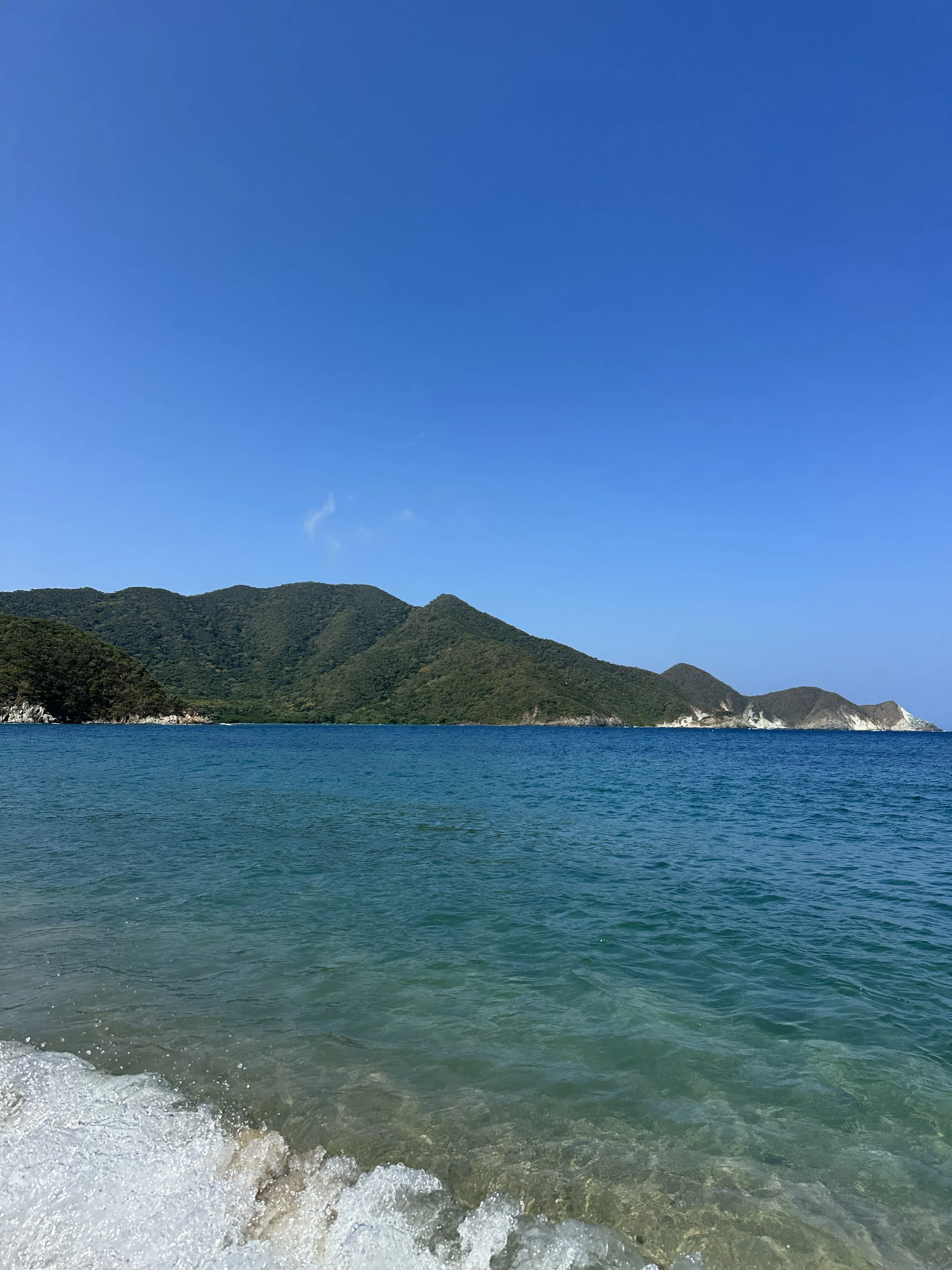 IMG_3230.jpeg