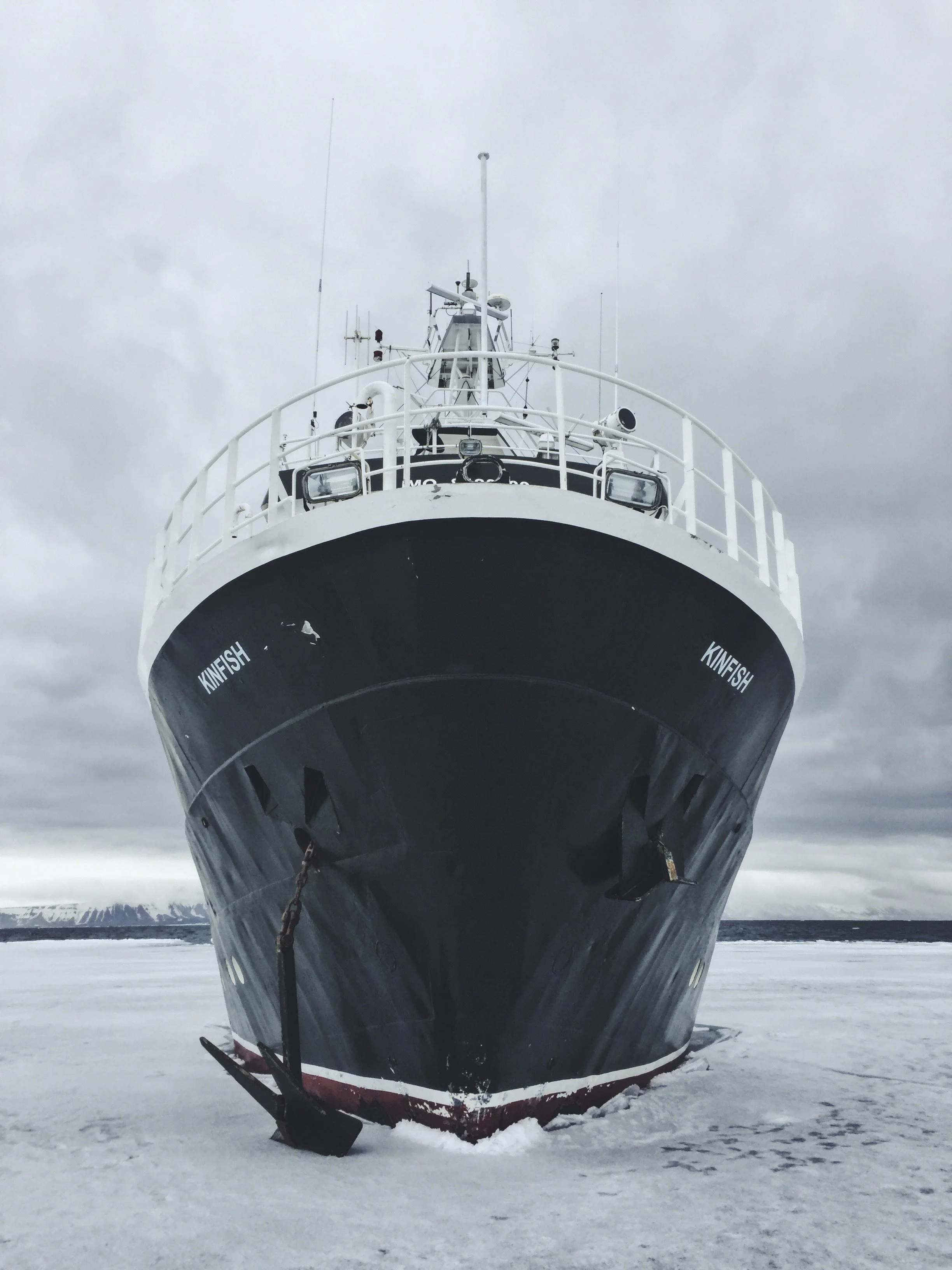 Kinfish parked in ice.jpg