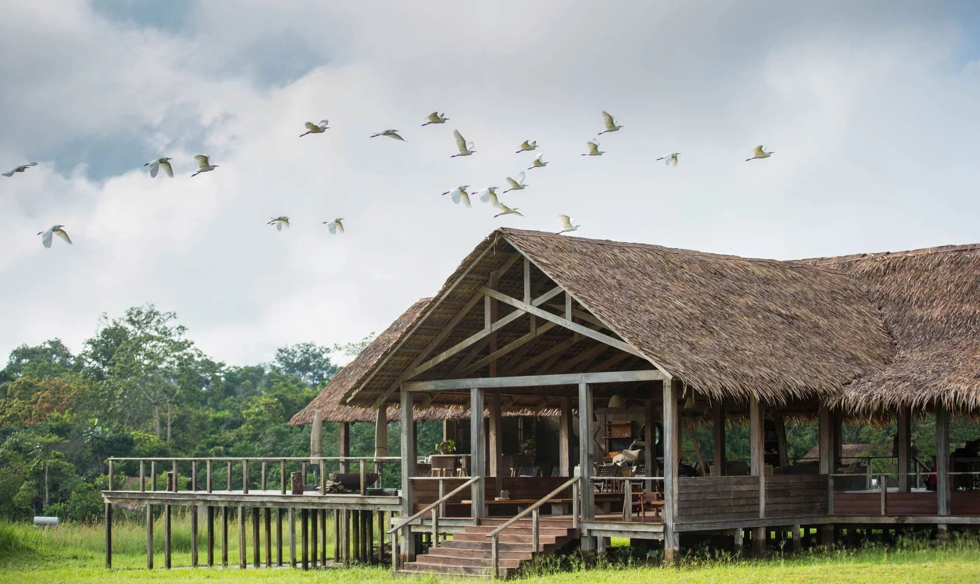Odzala National Park (Add-on)