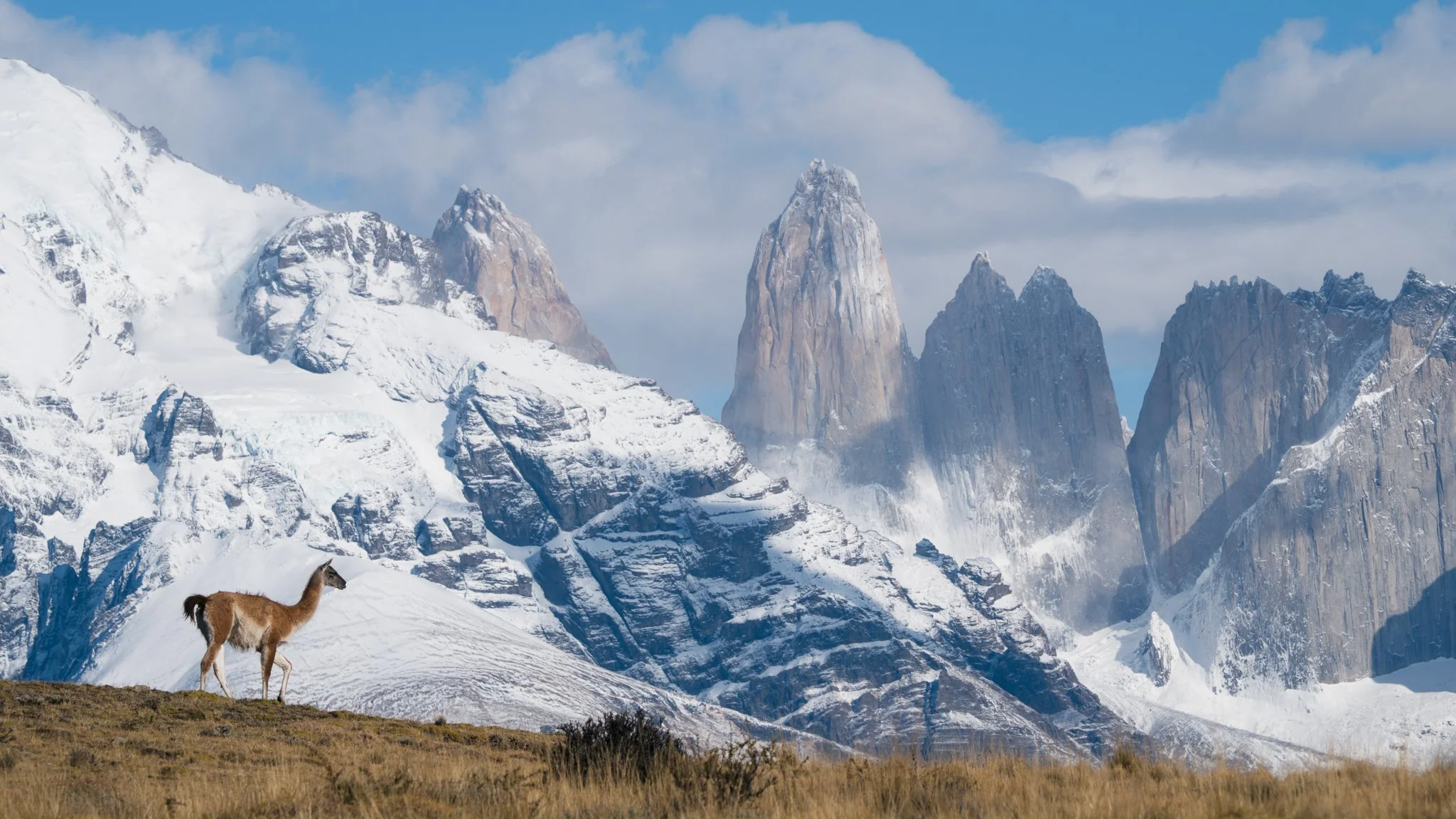03-towers-snow-peaks.jpg