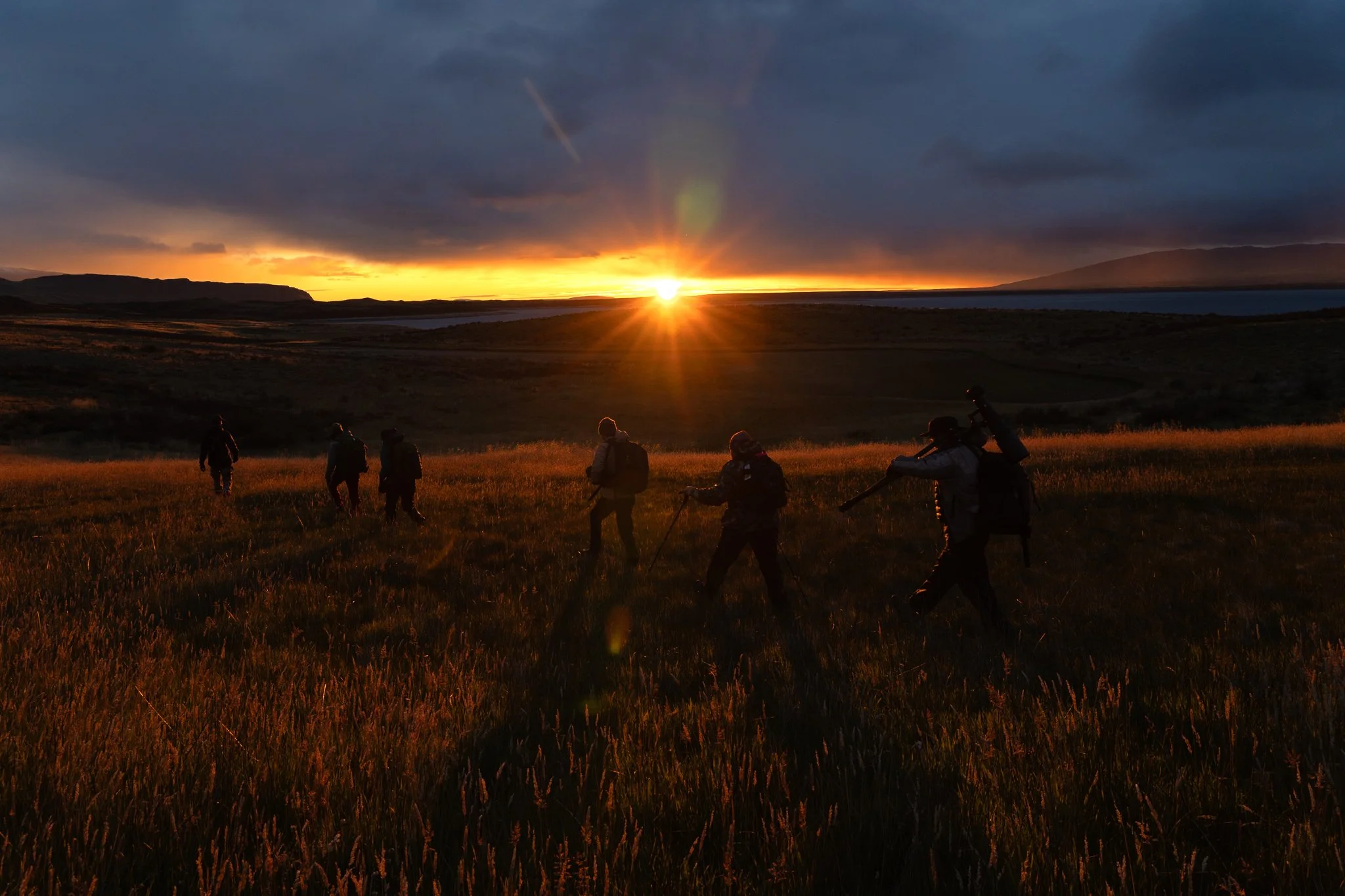 19-sunset-steppe-guanacos.jpg