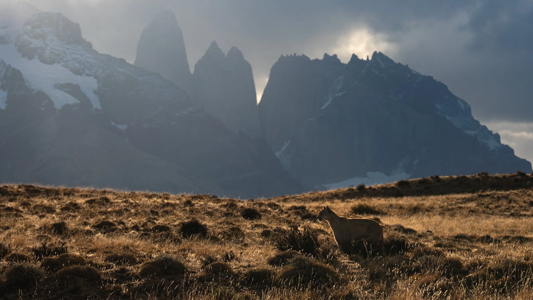 20-torres-massif-dawn.jpg